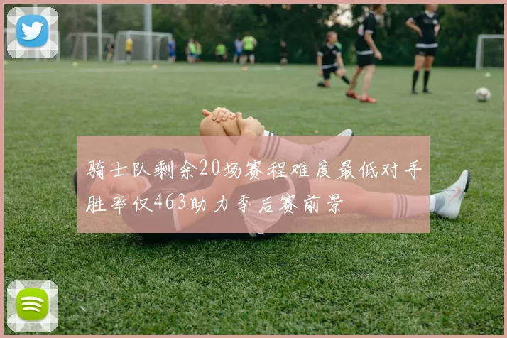 骑士队剩余20场赛程难度最低对手胜率仅463助力季后赛前景