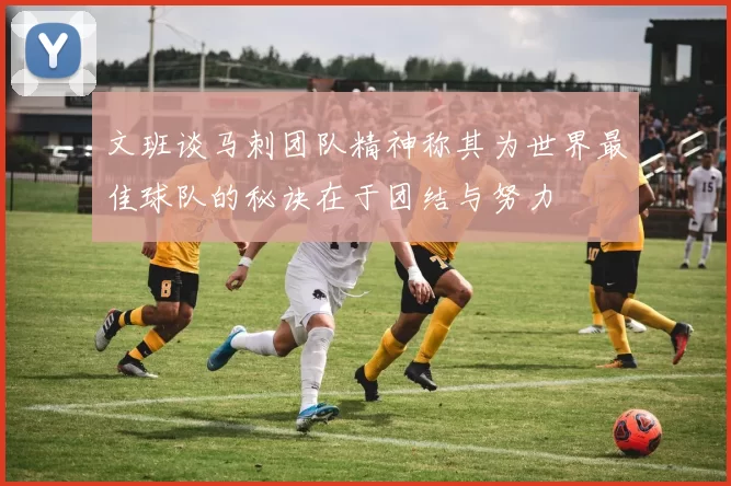 文班谈马刺团队精神称其为世界最佳球队的秘诀在于团结与努力
