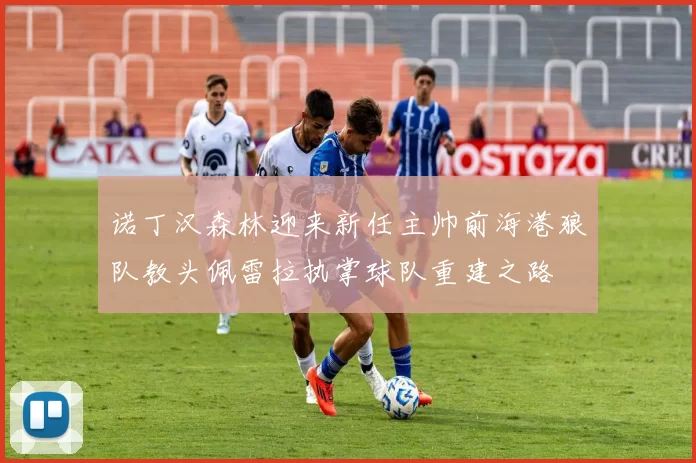 诺丁汉森林迎来新任主帅前海港狼队教头佩雷拉执掌球队重建之路